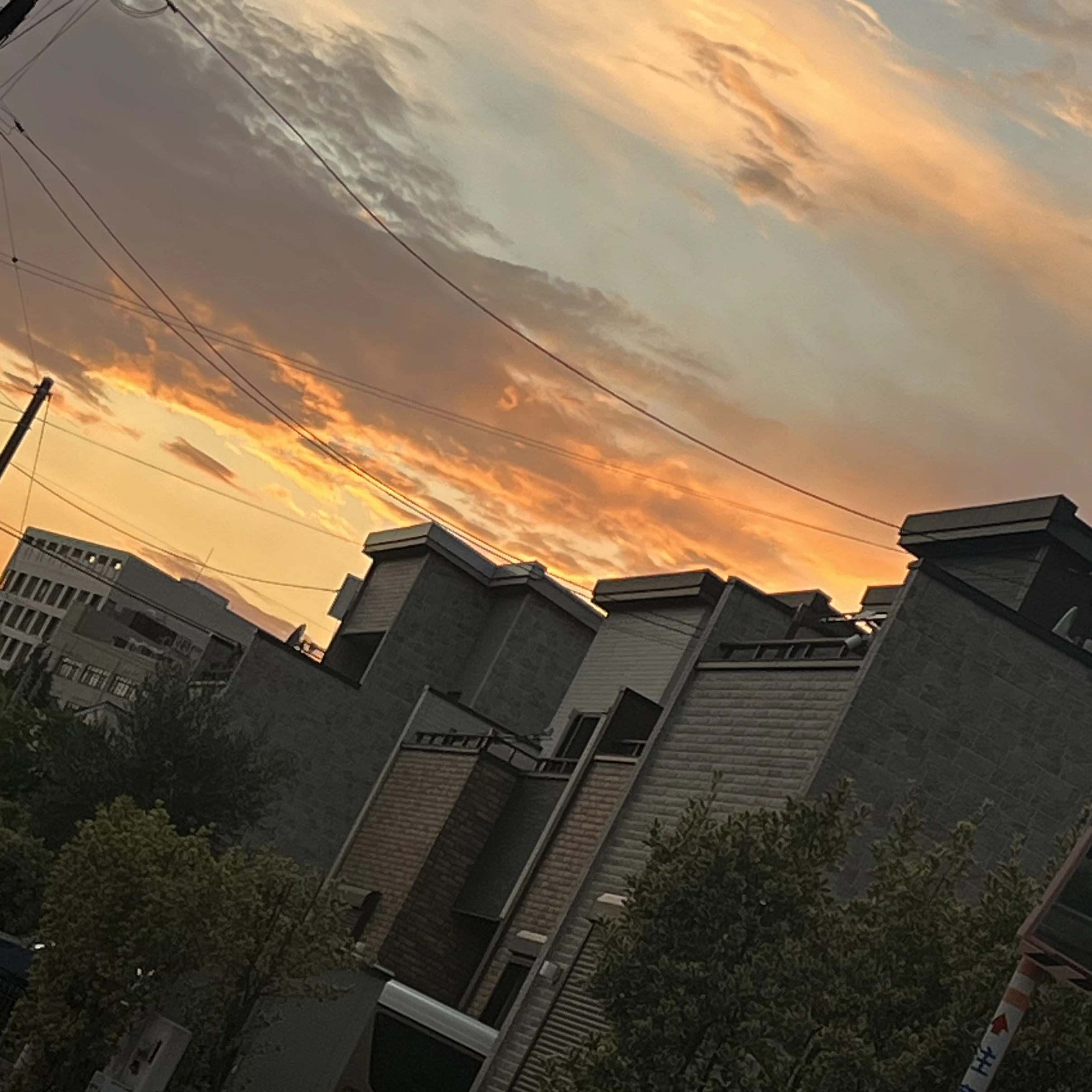 樋口怜大
