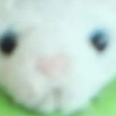 BouncyLid1088의 헿휘핑