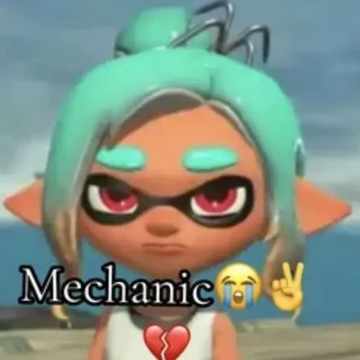 Frezz13의 Splatoon raiders - found