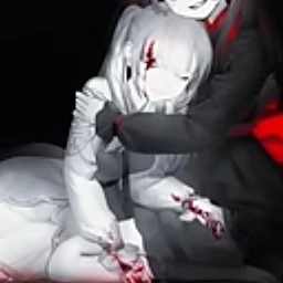 흰장미