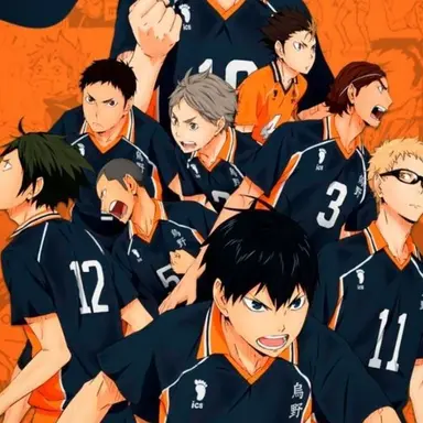 Profile image of Karasuno team.