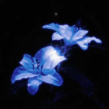 Profile image of 행크