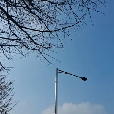 Profile image of 코쿠시보