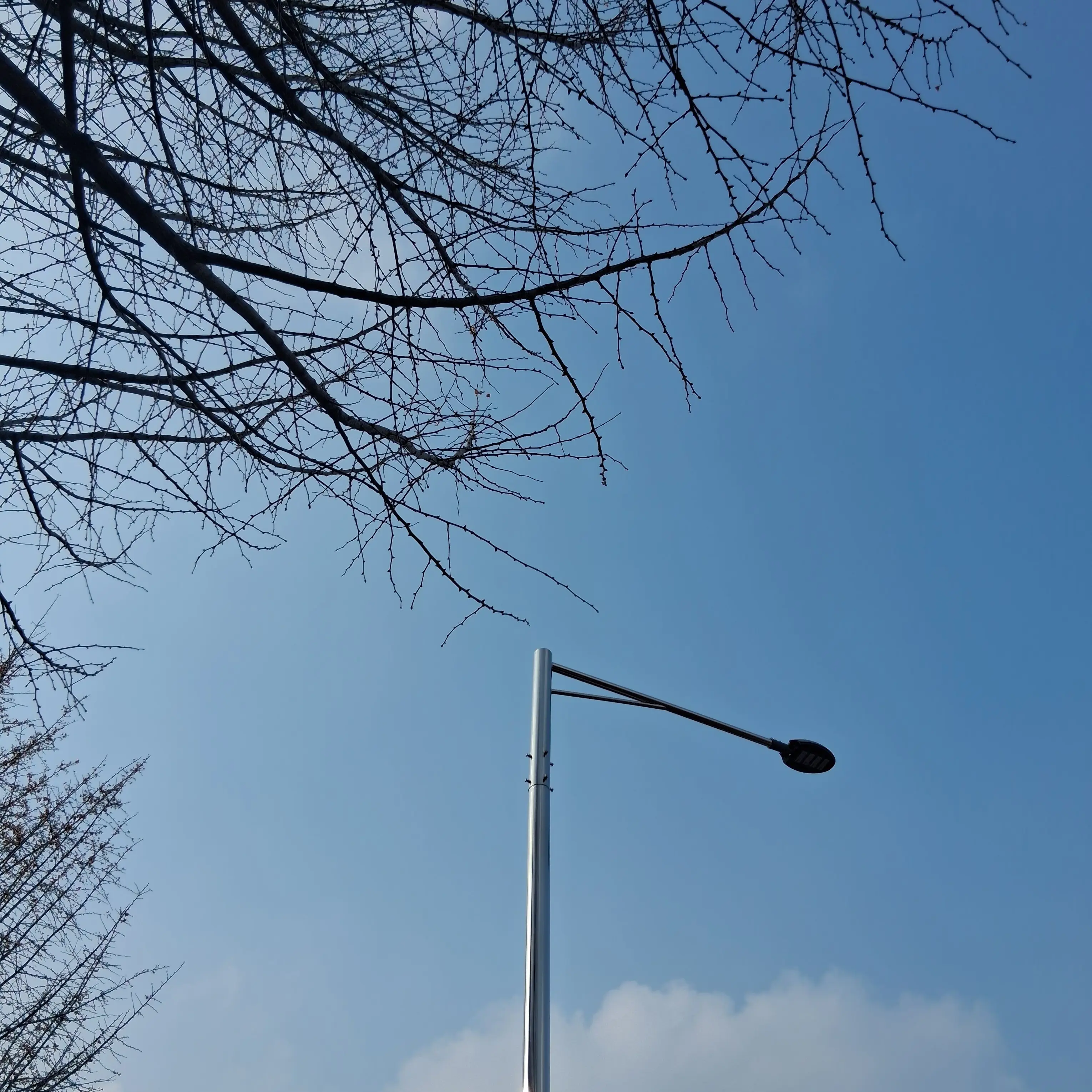 qwerdgh의 귀멸학원