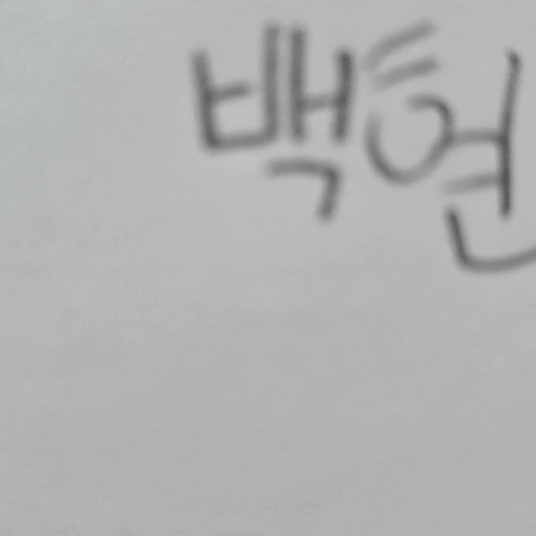 Sdjknsk의 고고프렌즈 마법 세계(여우)