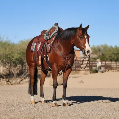 Profile image of Charger