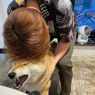 Profile image of 이창섭