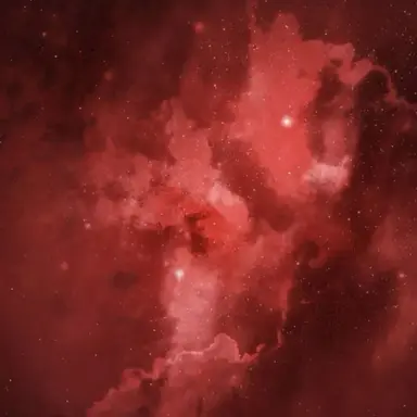 Profile image of 라더