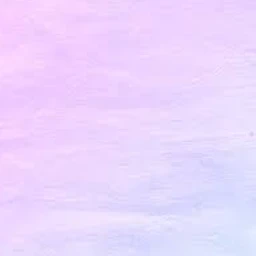 か ら ぴ ち 。