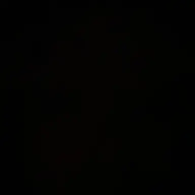 Profile image of 이찬영