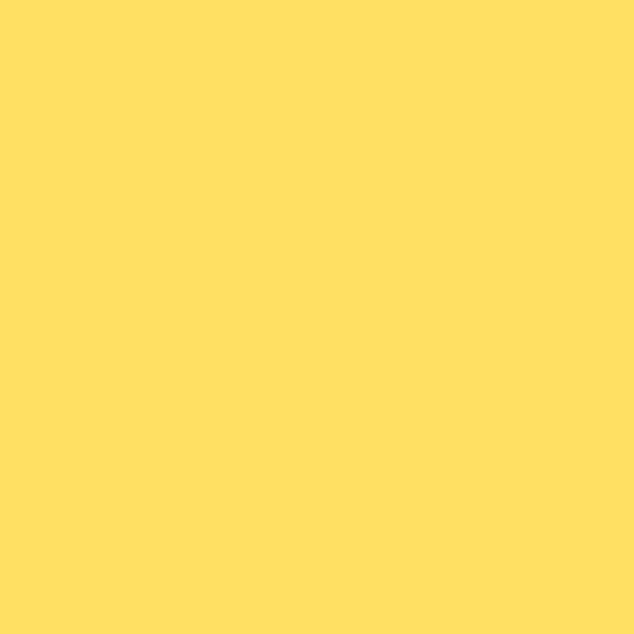 ChewyVase8640의 💙💛