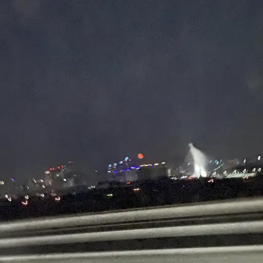 BeigeShare9526의 수컷너구리