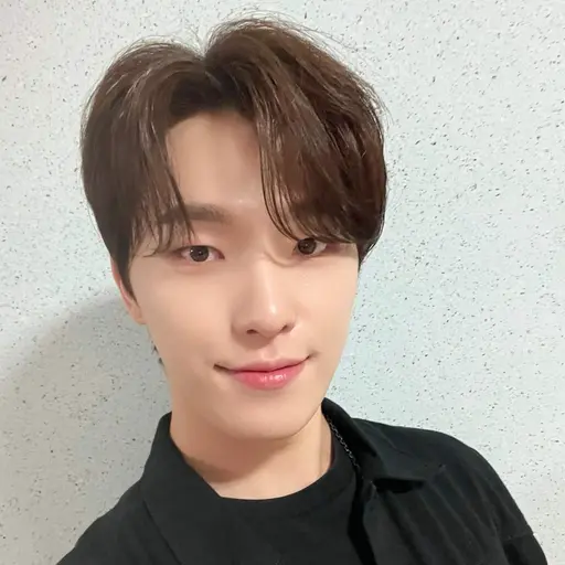 StupidSalty5044의 이찬