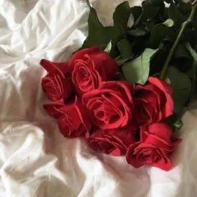 Profile image of 플래그