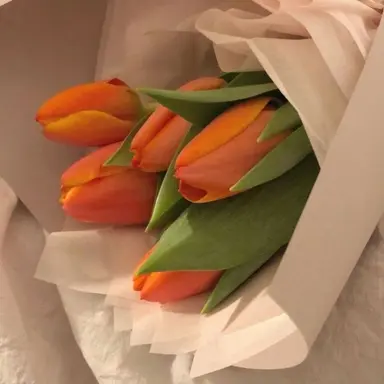 Profile image of 코마