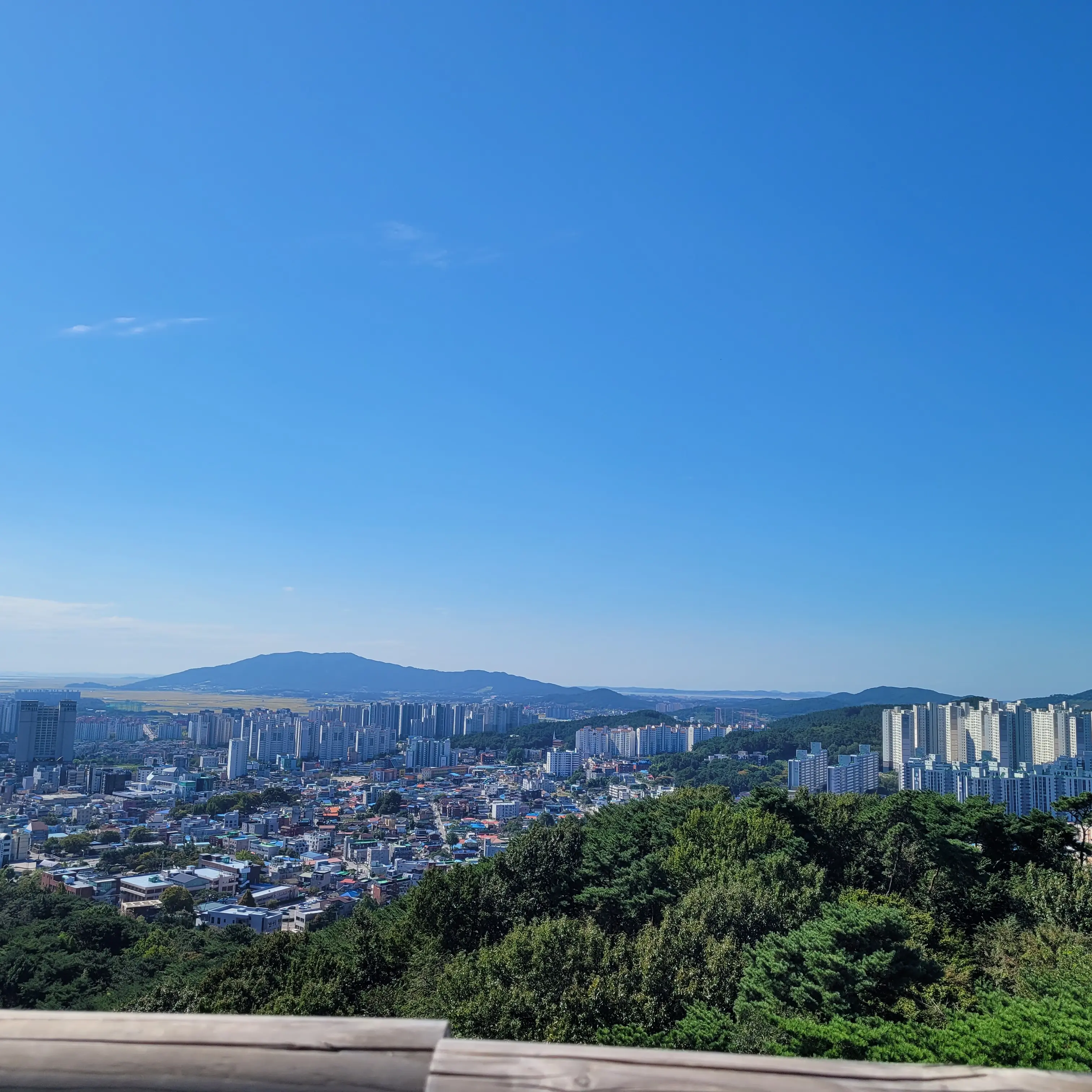 UNI.TLoviewer21의 크리스