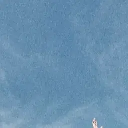 kori_i_mga의 大森元貴