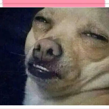 Profile image of 늑대