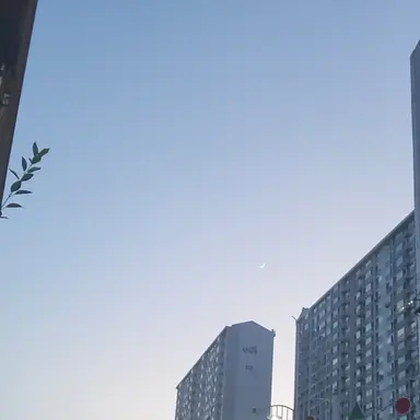 Profile image of 김다율