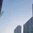 김다율