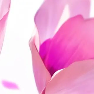 Profile image of 佐久間大介