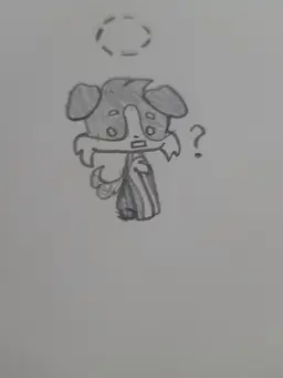 Profile image of コリー