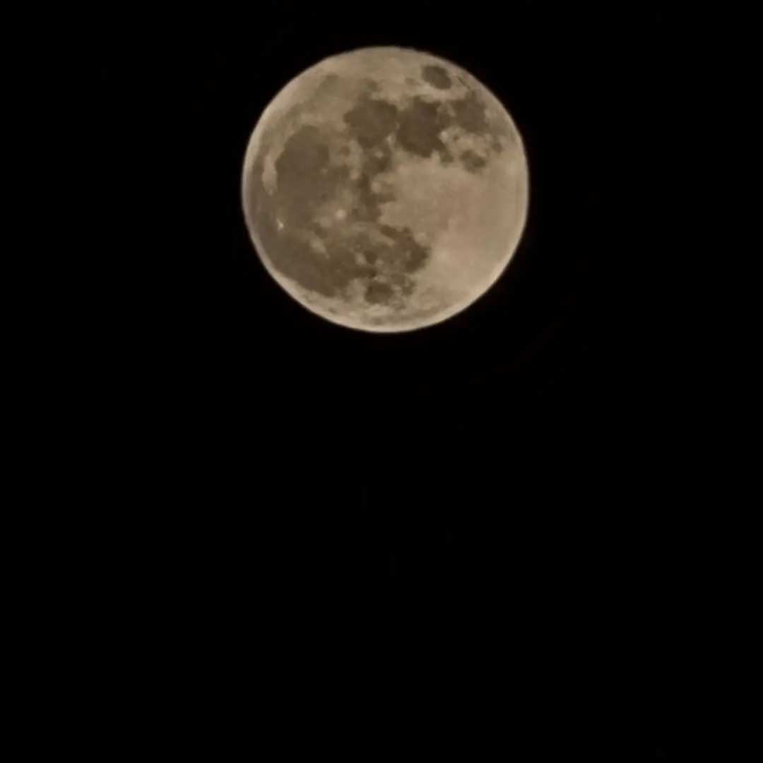 RipeChart6577의 내가하는거긔