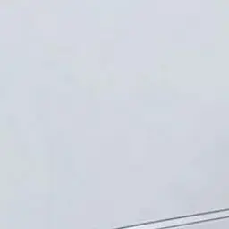 Profile image of 송채민