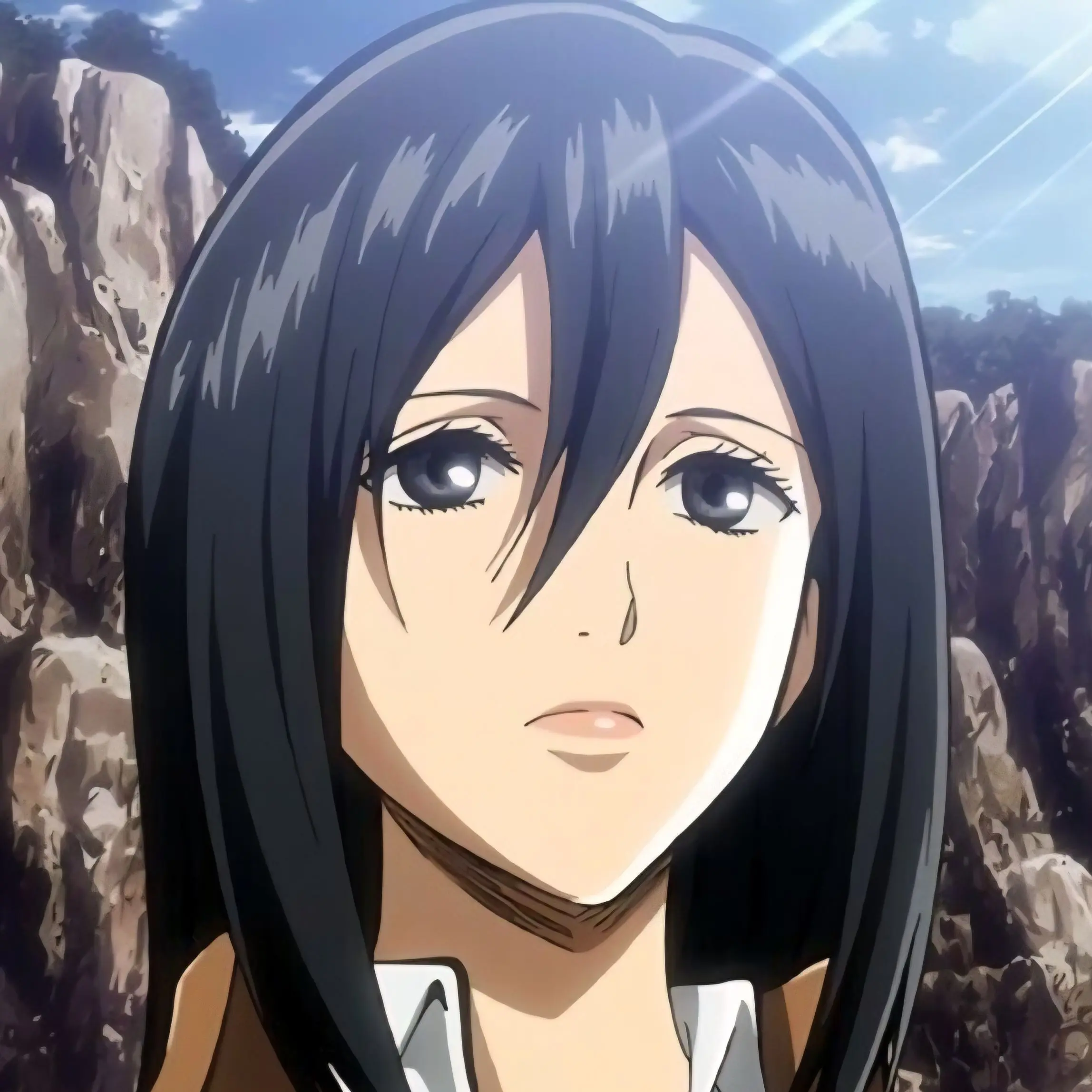 LooseTwine2652의 미카사 아커만