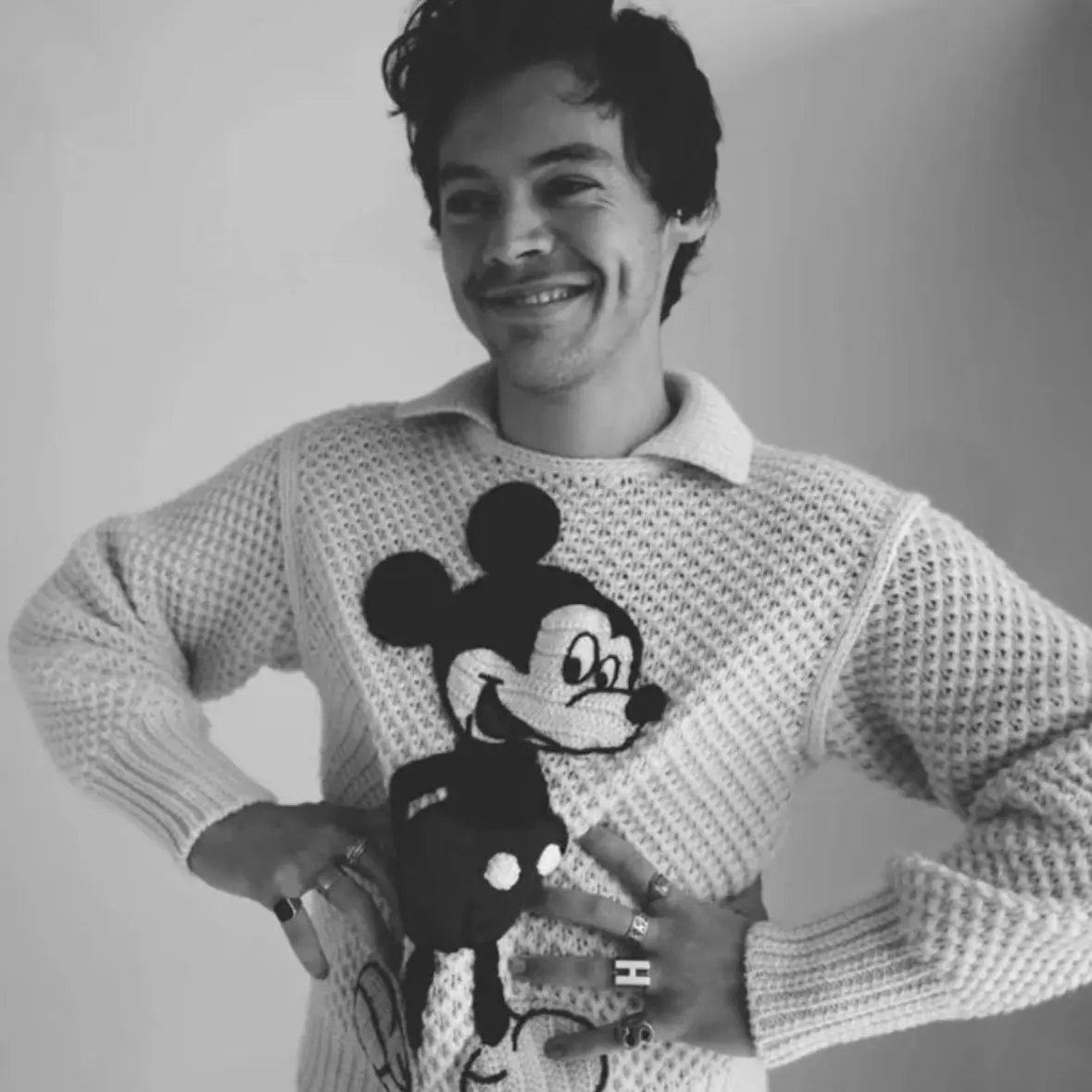 Elfie의 Harry Styles