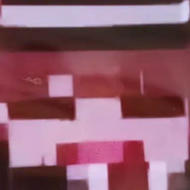 Profile image of 덕개