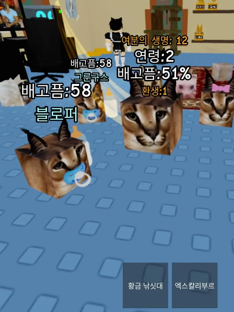 PPIMPI의 닌 플로파(고양이)를 키우는 사람이다