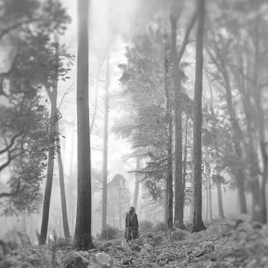 Profile image of Folklore and Evermore