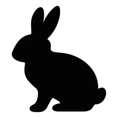 Profile image of 유서항