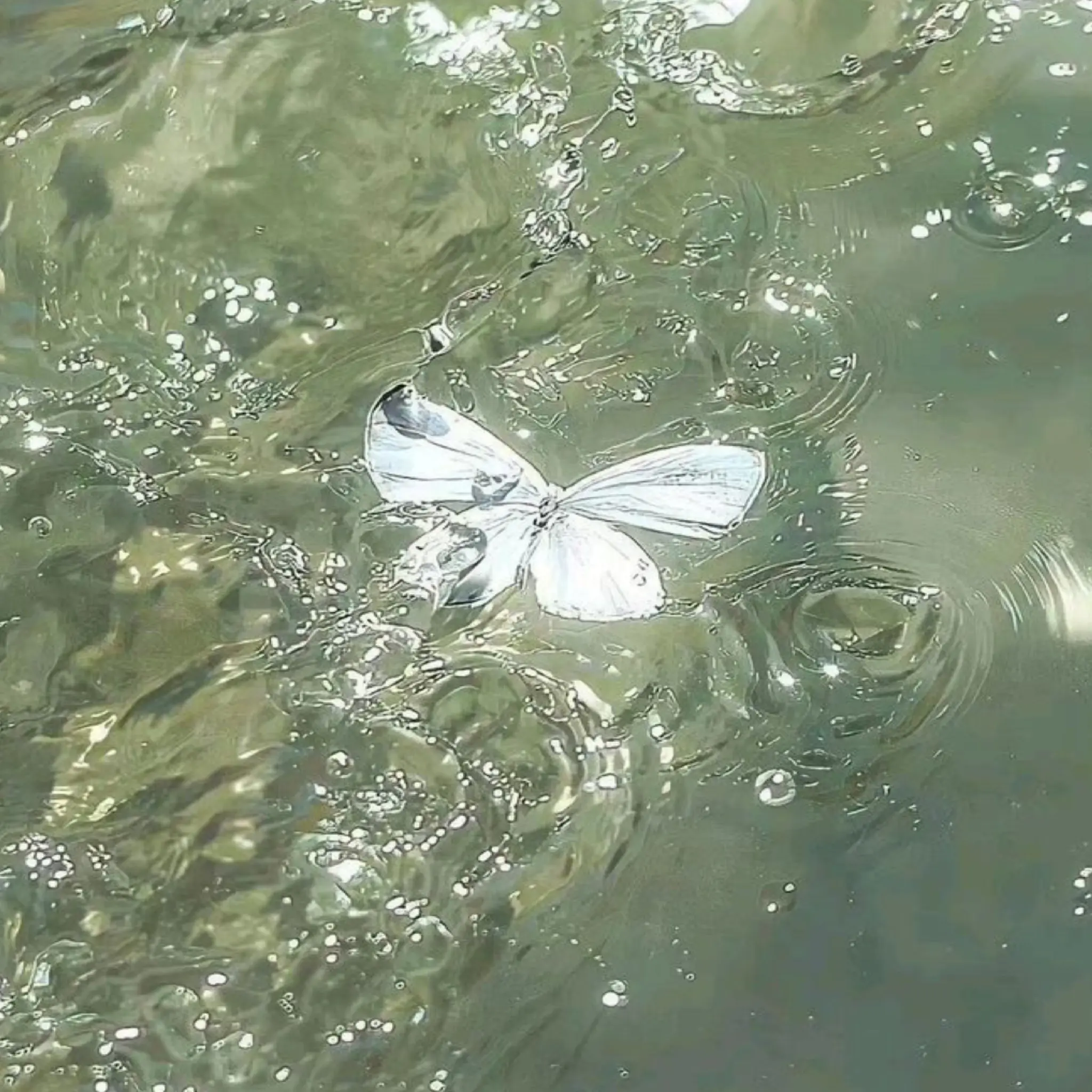 Cherry0367의 공룡