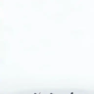 Profile image of 陸