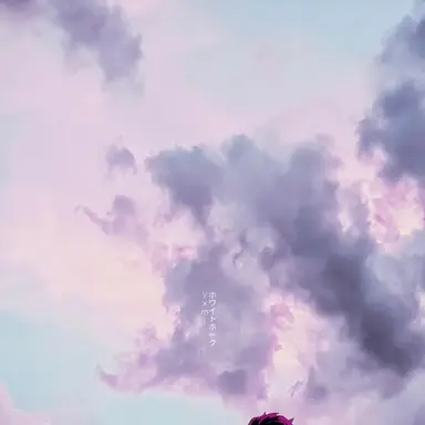 Profile image of 와르르 패밀리