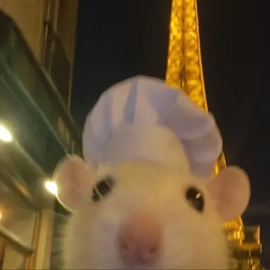 Profile image of パク・ジャムトゥル