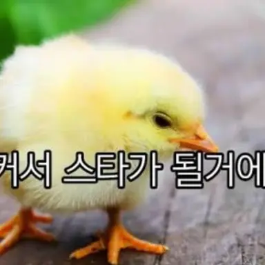 Profile image of 늑대