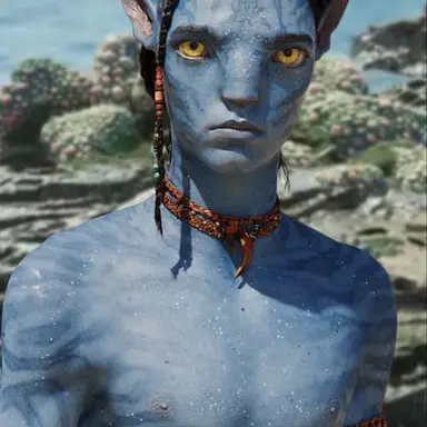 Profile image of Loak sully