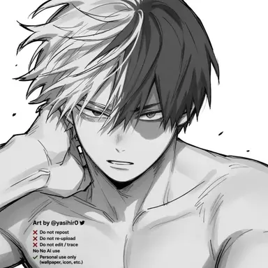 Profile image of Shoto Todoroki