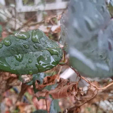 Profile image of 박세린