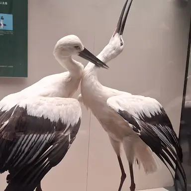 Profile image of 이가혜