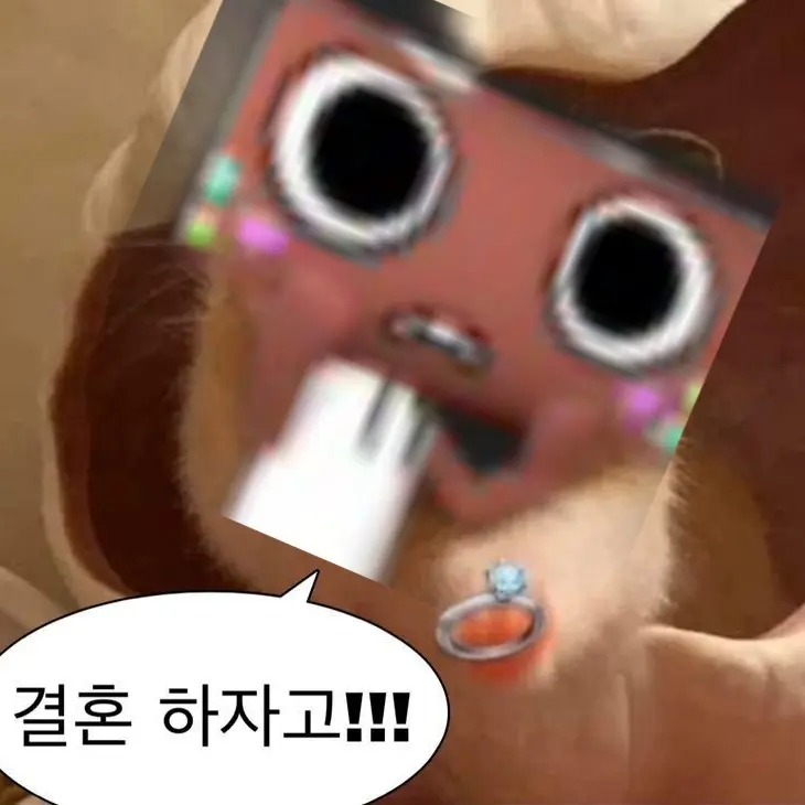 Finncrazy..의 결혼하자고 하는 코스모