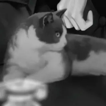 Profile image of 베리