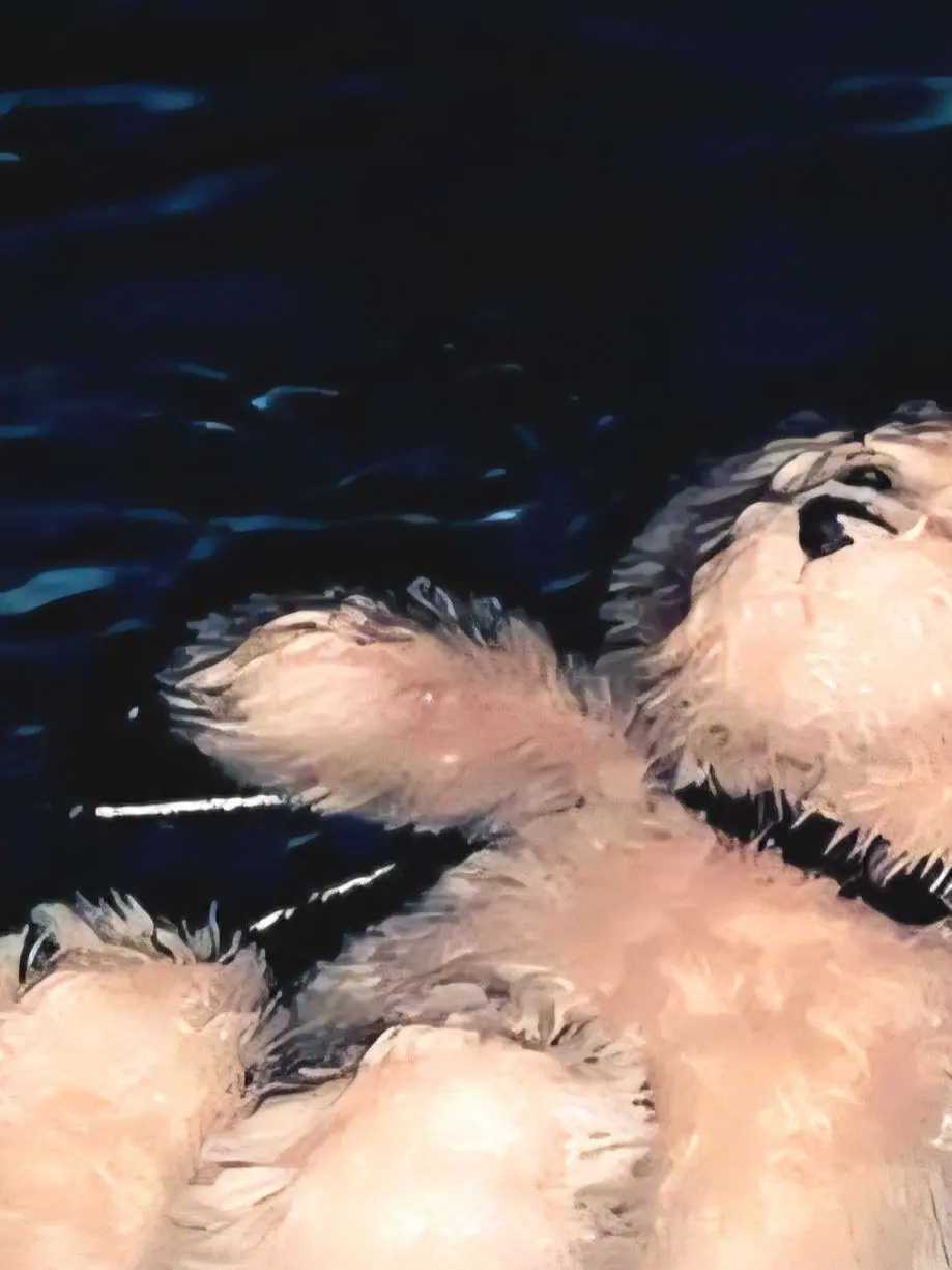 m6mxng의 죄악을 직면하여 자아를 구해라