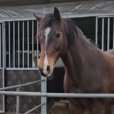 Profile image of 나르