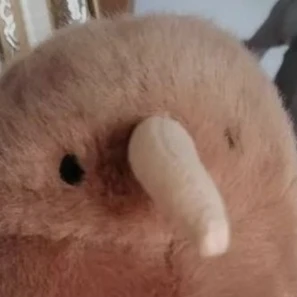 부모님