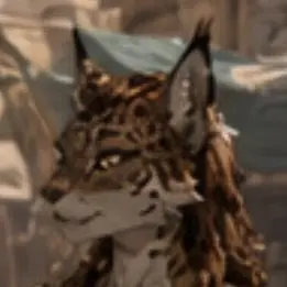Profile image of Tessa Sandrunner