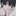 れんと